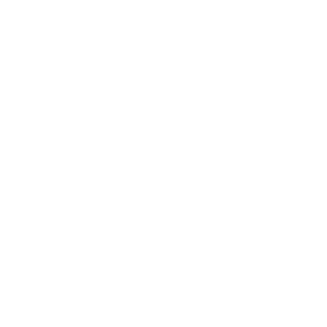 Icon of cube within a cube