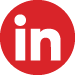 Red LinkedIn Icon